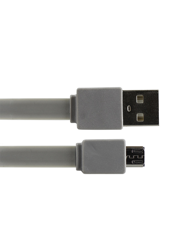 Gray 10 Micro USB Charger