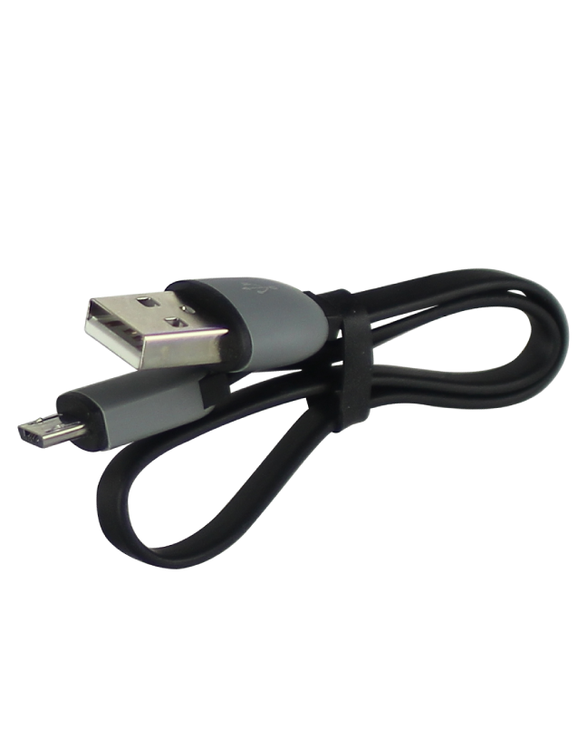 Micro USB Charger